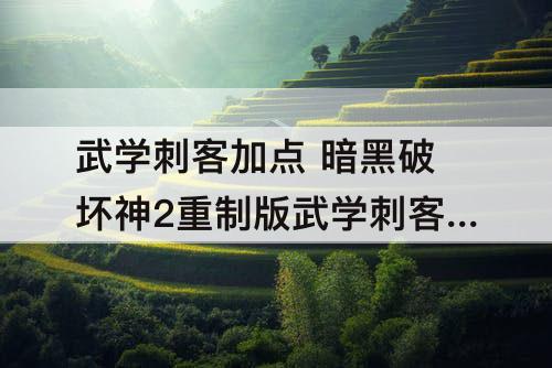 武学刺客加点 暗黑破坏神2重制版武学刺客加点