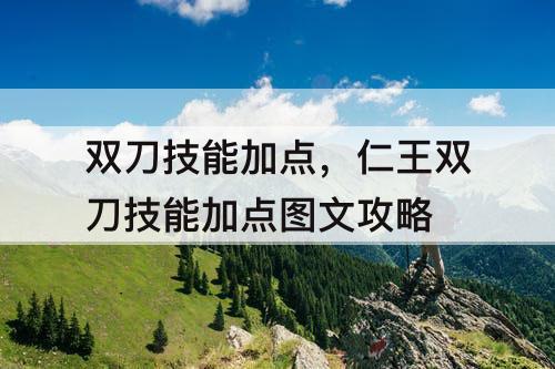 双刀技能加点，仁王双刀技能加点图文攻略