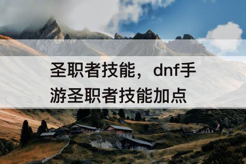 圣职者技能，dnf手游圣职者技能加点