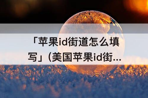 「苹果id街道怎么填写」(美国苹果id街道怎么填写)