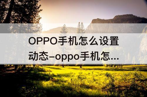 OPPO手机怎么设置动态-oppo手机怎么设置动态锁屏自定义