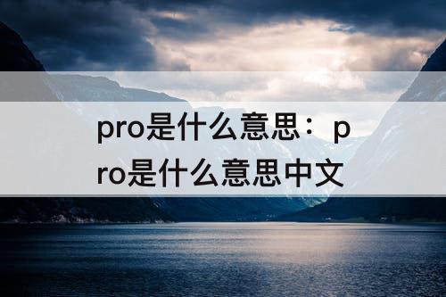 pro是什么意思：pro是什么意思中文