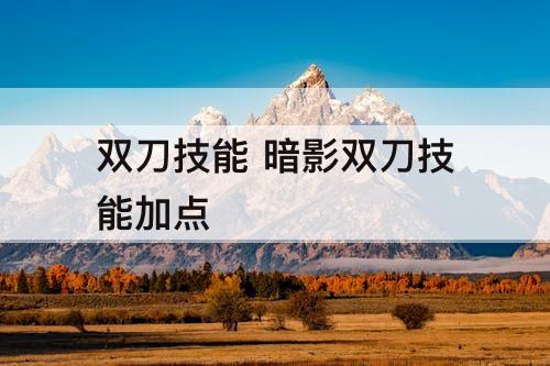 双刀技能 暗影双刀技能加点