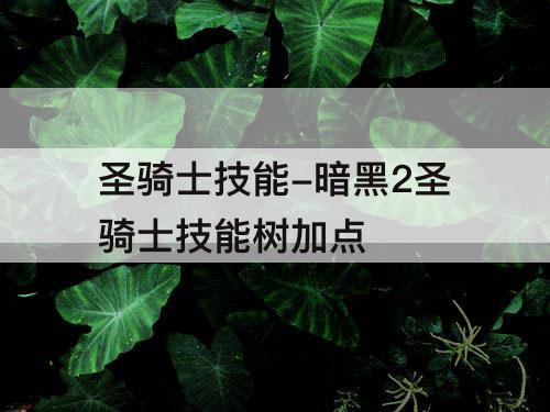圣骑士技能-暗黑2圣骑士技能树加点