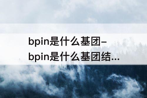 bpin是什么基团-bpin是什么基团结构式