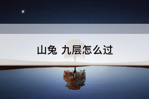 山兔 九层怎么过