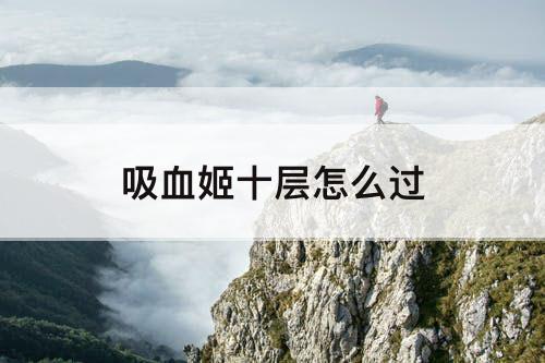吸血姬十层怎么过