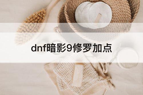 dnf暗影9修罗加点