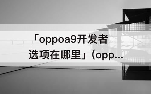 「oppoa9开发者选项在哪里」(oppoa9开发者选项在哪里设置)