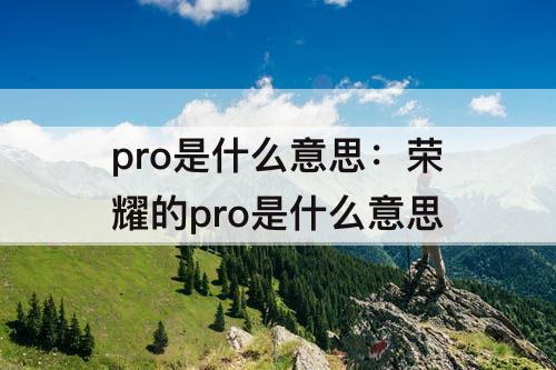 pro是什么意思：荣耀的pro是什么意思