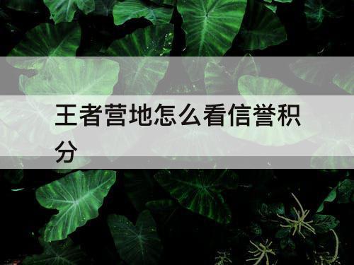 王者营地怎么看信誉积分