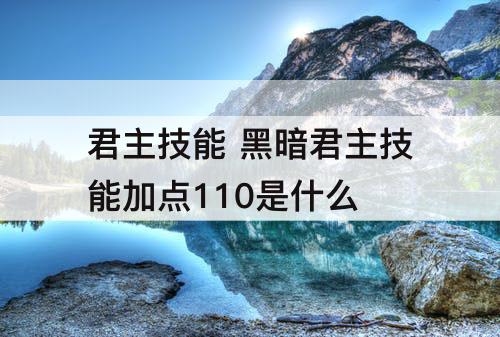 君主技能 黑暗君主技能加点110是什么