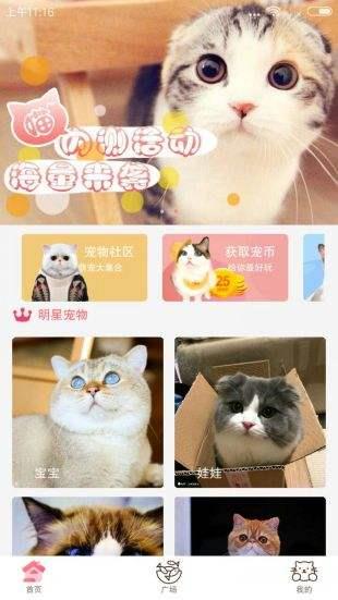 猫咪社区  v1.0.28图2