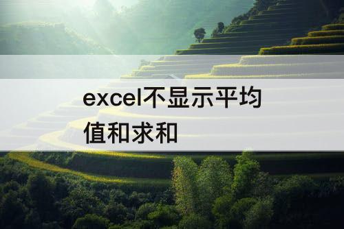 excel不显示平均值和求和
