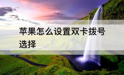 苹果怎么设置双卡拨号选择