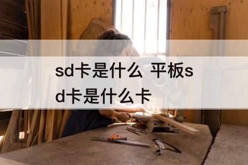 sd卡是什么 平板sd卡是什么卡