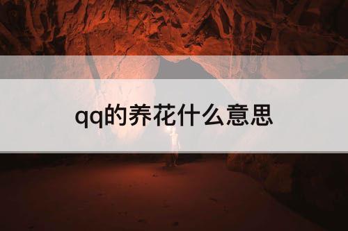 qq的养花什么意思