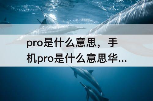 pro是什么意思，手机pro是什么意思华为荣耀?
