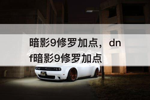 暗影9修罗加点，dnf暗影9修罗加点