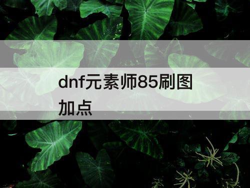 dnf元素师85刷图加点