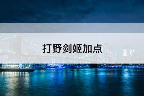打野剑姬加点