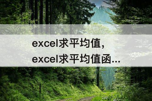 excel求平均值，excel求平均值函数是什么