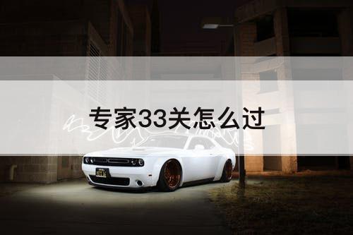 专家33关怎么过