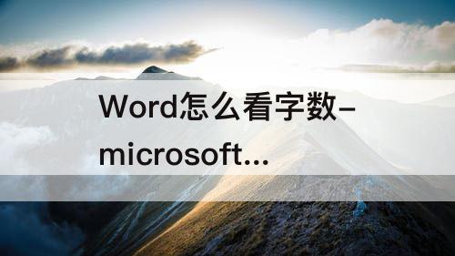 Word怎么看字数-microsoft word怎么看字数