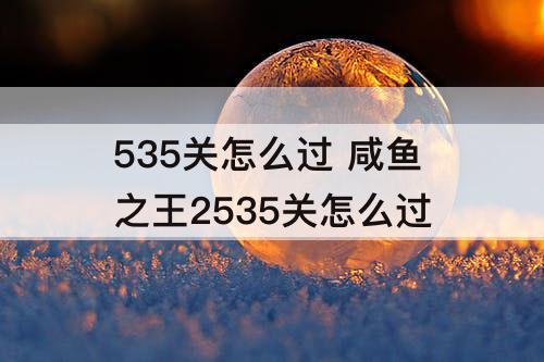 535关怎么过 咸鱼之王2535关怎么过