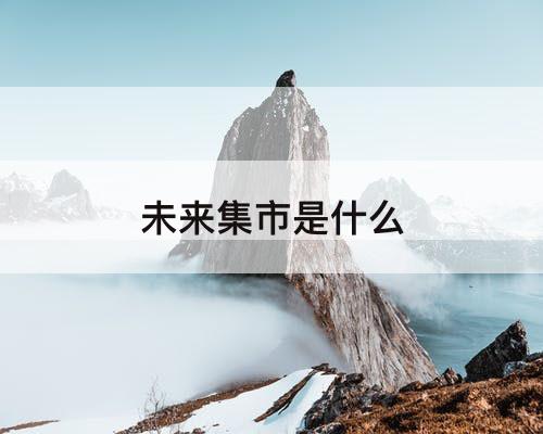 未来集市是什么