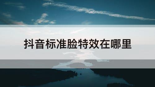 抖音标准脸特效在哪里