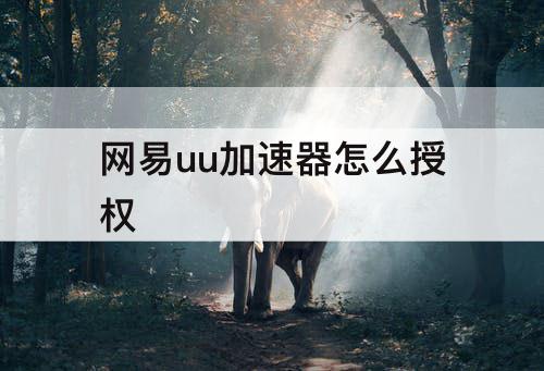 网易uu加速器怎么授权