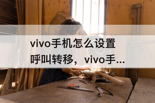 vivo手机怎么设置呼叫转移，vivo手机怎么设置呼叫转移时间段