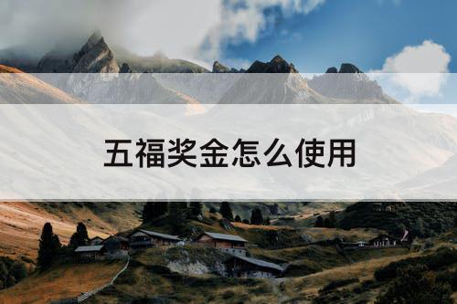 五福奖金怎么使用