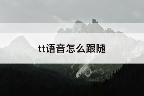 tt语音怎么跟随