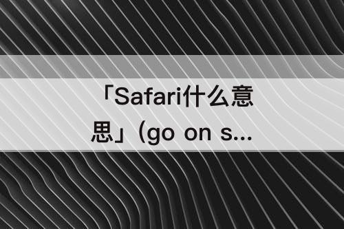 「Safari什么意思」(go on safari什么意思)