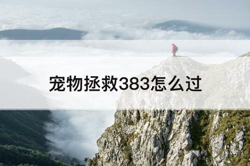 宠物拯救383怎么过