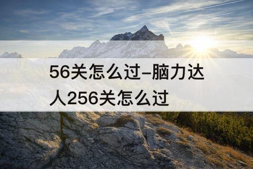 56关怎么过-脑力达人256关怎么过