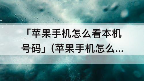 「苹果手机怎么看本机号码」(苹果手机怎么看本机号码多少)