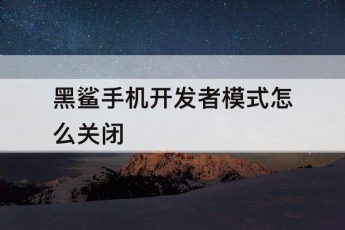 黑鲨手机开发者模式怎么关闭