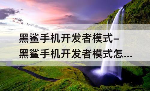 黑鲨手机开发者模式-黑鲨手机开发者模式怎么关闭