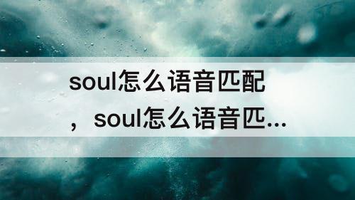 soul怎么语音匹配，soul怎么语音匹配到30多岁的