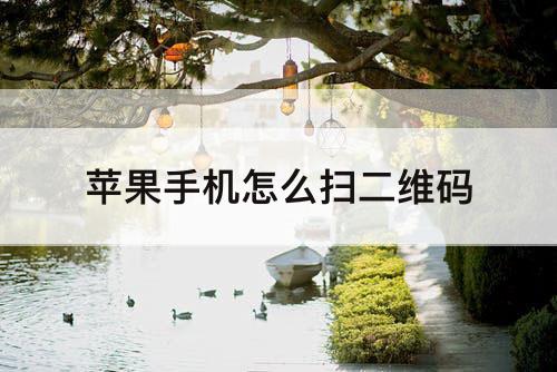 苹果手机怎么扫二维码