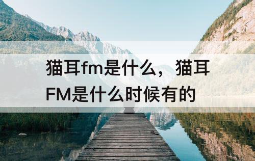 猫耳fm是什么，猫耳FM是什么时候有的
