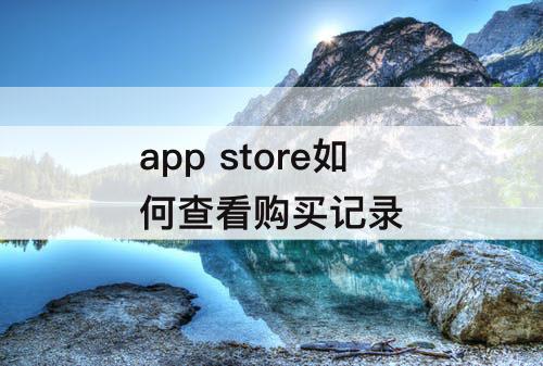 app store如何查看购买记录