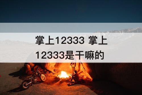 掌上12333 掌上12333是干嘛的