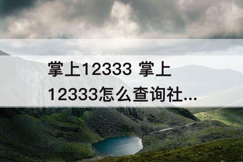 掌上12333 掌上12333怎么查询社保交了多少年
