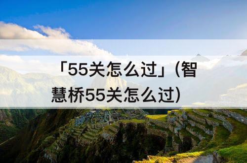 「55关怎么过」(智慧桥55关怎么过)