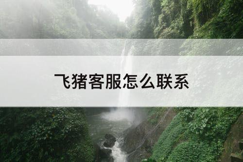 飞猪客服怎么联系