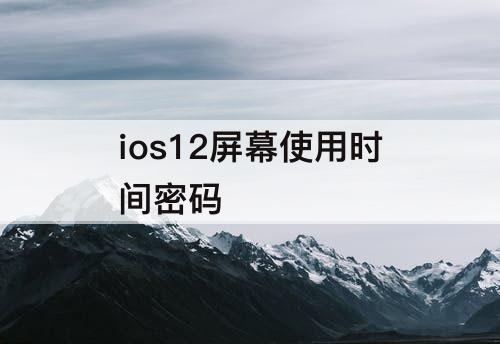 ios12屏幕使用时间密码